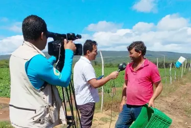 Imagem ilustrativa da imagem Jumento pêga e os resultados da safra 2024/25 no Notícias do Campo deste domingo