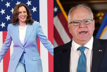 Imagem ilustrativa da imagem Kamala Harris confirma Tim Walz como candidato a vice na chapa democrata