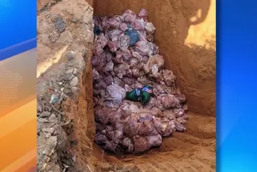 Imagem ilustrativa da imagem Mais de 1 tonelada de carne irregular é apreendida em açougues no ES