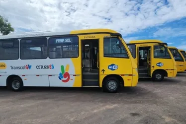 Imagem ilustrativa da imagem Mais de 270 ônibus Euro 6 até o fim do ano no Transcol