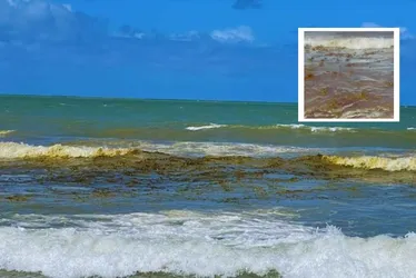 Imagem ilustrativa da imagem Mar de Boa Viagem "ferve" com bolhas desconhecidas: substância assusta banhistas