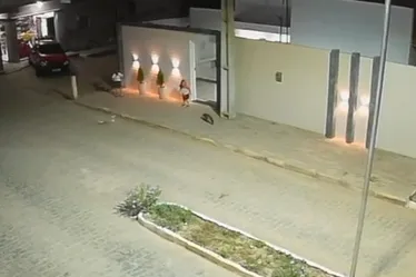 Imagem ilustrativa da imagem Raposa morre após atacar criança de 3 anos: animal estava com raiva