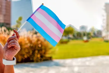 Imagem ilustrativa da imagem Prefeitura do Recife promove ações para celebrar Dia Nacional da Visibilidade Trans
