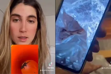 Imagem ilustrativa da imagem Mulher compra AirFryer online e pacote vem com um lagarto dentro; assista ao vídeo