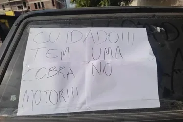 Imagem ilustrativa da imagem Mulher deixa recado para dono de carro após ver cobra entrar em motor de veículo