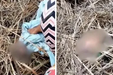 Imagem ilustrativa da imagem Mulher que abandonou recém-nascido no Norte do ES é identificada pela polícia
