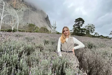 Imagem ilustrativa da imagem Novo lavandário atrai mais turistas em Pedra Azul