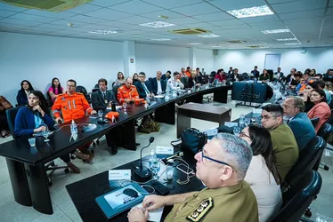 Imagem ilustrativa da imagem PE elucida 98% dos casos de feminicídio registrados pela Polícia Civil em 18 meses