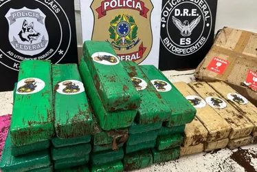 Imagem ilustrativa da imagem PF apreende 30 kg de maconha em galpão de empresa de envio de mercadorias no ES
