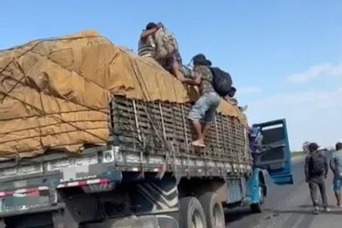 Imagem ilustrativa da imagem PRF flagra caminhoneiro transportando 10 trabalhadores na carroceria