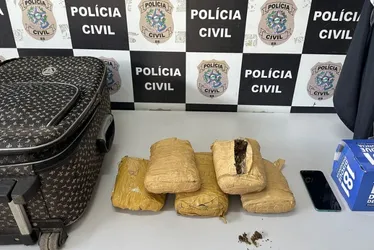 Imagem ilustrativa da imagem Passageira é presa transportando 2,5 kg de skunk de Mato Grosso para o ES