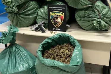 Imagem ilustrativa da imagem Polícia Civil apreende maconha de barão: produto vale R$ 5 mil por quilo