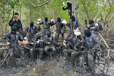 Imagem ilustrativa da imagem Polícia Militar apreende drogas escondidas em área de manguezal em Cariacica