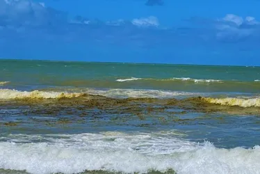 Imagem ilustrativa da imagem Preocupação ambiental em Boa Viagem: bolhas no mar podem indicar poluição de esgoto