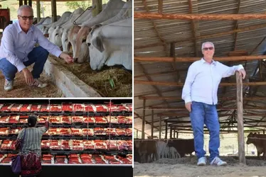 Imagem ilustrativa da imagem Produção de carne de boi dispara no ES
