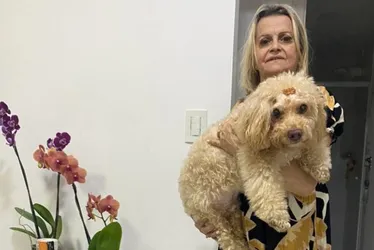 Imagem ilustrativa da imagem Revolta após morte de pet: enterro por engano vira caso de polícia