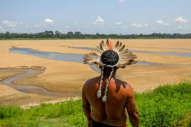 Imagem ilustrativa da imagem Seca deve dificultar navegação no rio Amazonas e pode subir preço de produtos