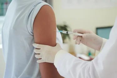 Imagem ilustrativa da imagem Secretaria de Saúde do ES vai enviar SMS para alertar pais sobre vacina da dengue