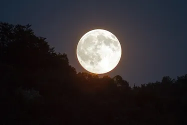 Imagem ilustrativa da imagem Eclipse parcial da Lua acontece nesta terça-feira e pode ser visto em todo Brasil
