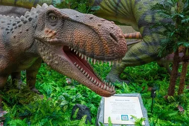 Imagem ilustrativa da imagem Última semana para ver de perto a maior exposição de dinossauros da América Latina
