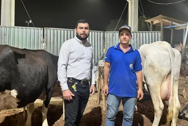 Imagem ilustrativa da imagem Vacas produzem mais de 70 kg de leite por dia e vencem concurso no ES