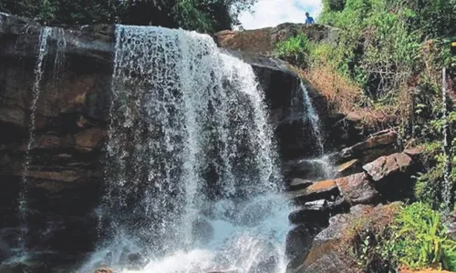 
          Imagem ilustrativa da imagem 30 cachoeiras na nova “Rota das Águas”
          