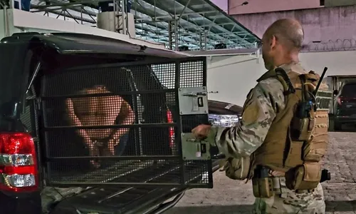 
          Imagem ilustrativa da imagem Acusados de tráfico de armas e de drogas são presos em operação na Grande Vitória
          