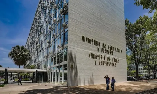 
          Imagem ilustrativa da imagem Agricultura suspende exportação de carne de aves após caso de doença no RS
          