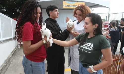 
          Imagem ilustrativa da imagem Ajuda para adolescentes escolherem profissão
          