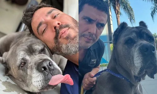 
          Imagem ilustrativa da imagem André Marques fala de luto por morte de pet:  'Cada um reage de uma maneira'
          