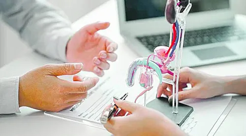 
          Imagem ilustrativa da imagem Avanços para tratar doenças de próstata
          