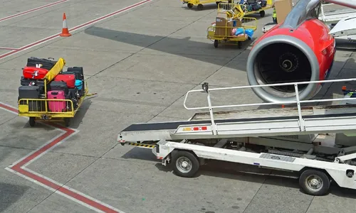 
          Imagem ilustrativa da imagem Bagageiro infestado de baratas faz avião retornar com as malas dos passageiros
          