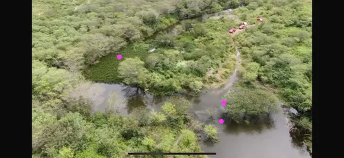 
          Imagem ilustrativa da imagem Bombeiros localizam corpo de mulher que morreu afogada junto com o filho e marido
          