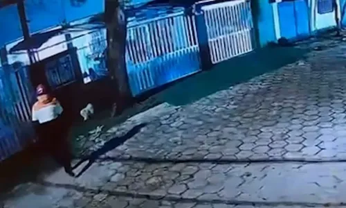 
          Imagem ilustrativa da imagem Cadela foge, motociclista leva embora e família pede ajuda para recupera-la
          