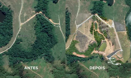 
          Imagem ilustrativa da imagem Condomínio da Serra é multado em mais de R$ 200 mil por desmatamento ilegal
          