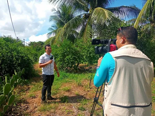 
          Imagem ilustrativa da imagem Confira os destaques do Notícias do Campo deste domingo
          