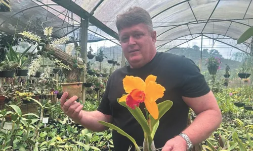 
          Imagem ilustrativa da imagem Cultura, lazer e diversão em Marechal Floriano
          