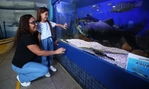 
          Imagem ilustrativa da imagem Diversão e aprendizado juntos nas férias escolares
          