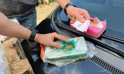 
          Imagem ilustrativa da imagem Droga enviada pelos Correios é apreendida na casa de mulher em Cariacica
          