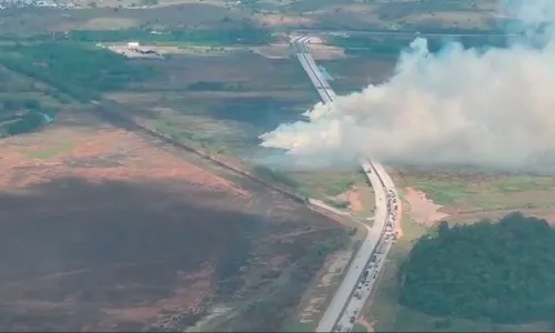 
          Imagem ilustrativa da imagem ES registra recorde de queimadas por falta de chuva
          