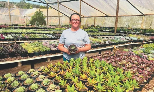 
          Imagem ilustrativa da imagem Espírito Santo: aventuras em terra e no ar
          