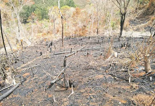 
          Imagem ilustrativa da imagem FPA cobra punição severa para crime de incêndio e quer aprovação do pacote antifogo
          