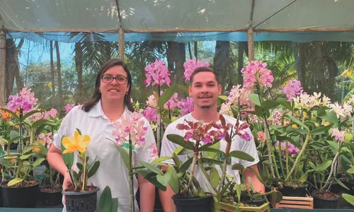 
          Imagem ilustrativa da imagem Feira com mais de 5 mil orquídeas nas montanhas
          