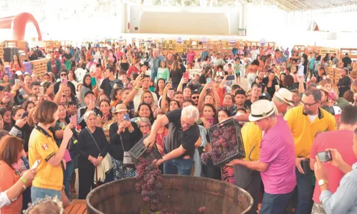 
          Imagem ilustrativa da imagem Festa com shows e pisa da uva no ES
          