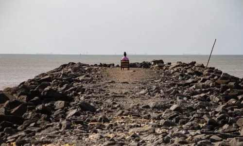 
          Imagem ilustrativa da imagem Festival com homenagens, mostras de cinema e oficinas em Vitória
          