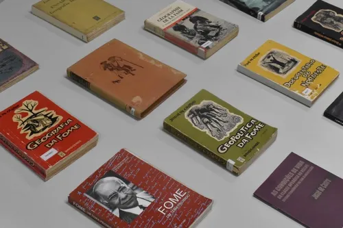 
          Imagem ilustrativa da imagem Fundação Joaquim Nabuco amplia tratamento técnico do acervo de Josué de Castro
          