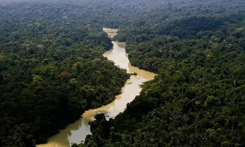 
          Imagem ilustrativa da imagem Governo processa fazendeiros em R$ 635 milhões por danos climáticos na Amazônia
          