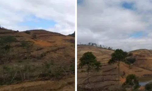 
          Imagem ilustrativa da imagem Homem é multado em R$ 470 mil por desmatamento ilegal no ES
          