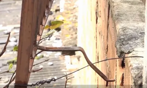 
          Imagem ilustrativa da imagem Homem invade casa e esfaqueia ex-companheira em Vitória
          