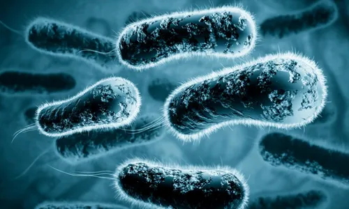 
          Imagem ilustrativa da imagem Hospitais brasileiros têm aumento de bactérias super-resistentes
          